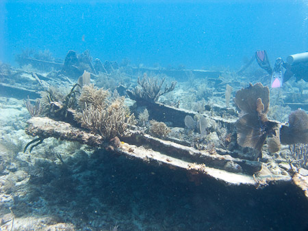 City of Washington on Display