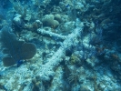 gal/LittleCayman07_2/_thb_Anchor1.jpg